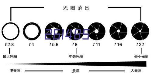 文化和旅游部办公厅关于开展2023年度 乡村文化和旅游带头人支持项目推荐工作的通知