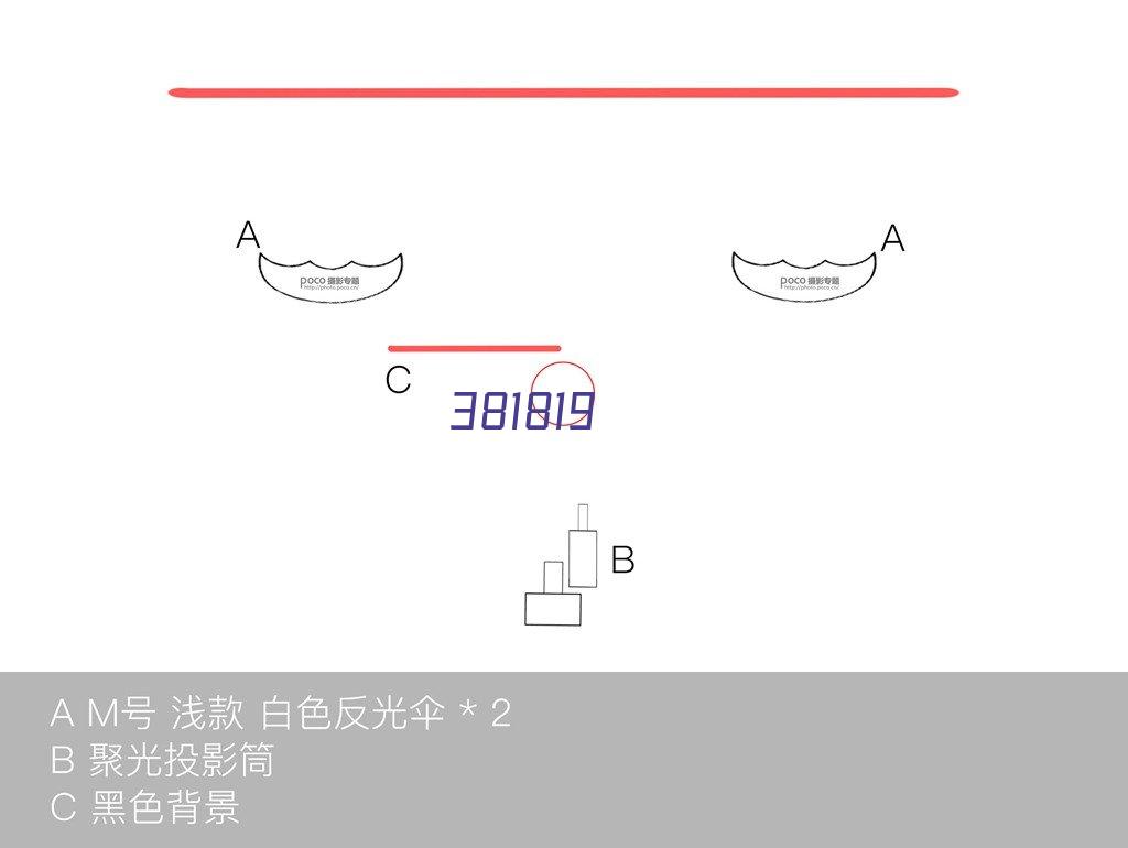 罗杰斯：意媒 佩塔尼亚