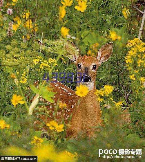 艺术隔断门及卫生间门