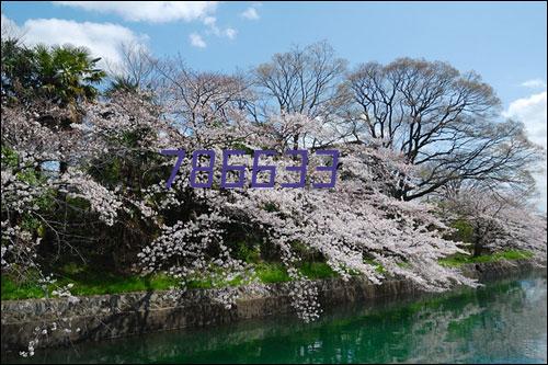 李长春带队赴五峰县交流对接项目建设