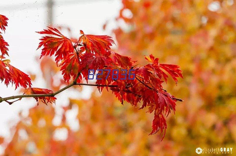 10月安徽成人自考成绩查询时间及入口