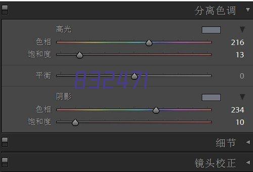 四川和邦投资集团有限公司