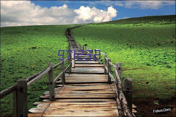 沈跃跃率团访问阿塞拜疆